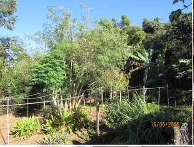 Foto 39 de 41: Area Rural em leilão em Cássia Dos Coqueiros - SP — IMOVEL - RURAL - SITIO com 16 hectares - ESTRUTURA COMPLETA - Perto do Asfalto na cidade de CÁSSIA DOS COQUEIROS