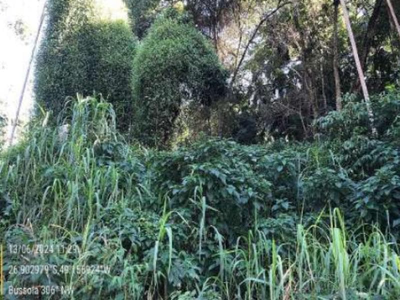 Foto 10 de 11: Terreno em leilão em Blumenau - SC, bairro Passo Manso — Lote, 8708.13 m2, Blumenau / SC