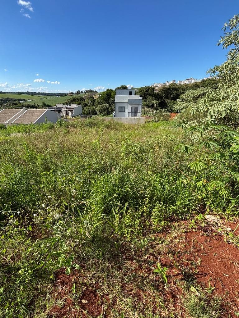 Foto 8 de 8: Terreno em leilão em Pato Branco - PR — TERRENO URBANO COM ÁREA TOTAL DE 296,40 M2 - PATO BRANCO/PR