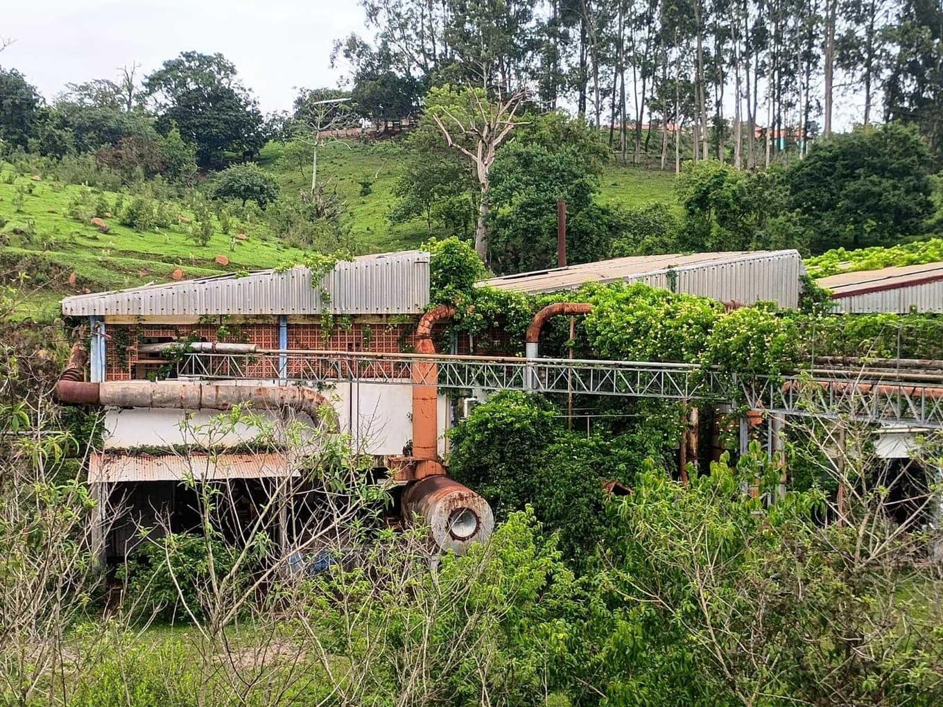 Foto 63 de 70: Area Rural em leilão em Amparo - SP, bairro Três Pontes — Imóvel Rural, A.T. 19ha, A.C. 7.362m², antigo abatedouro, galpões, casas, Três Pontes