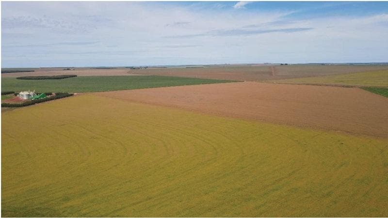 Foto 20 de 30: Area Rural em leilão em Paraíso Das Águas - MS — IMÓVEL RURAL | 400 HA (FRAÇÃO IDEAL) - FAZ. LOTE BAÚS PERDIDO I SECÇÃO B | PLANTIO PARA SOJA E MILHO | PARAÍSO DAS ÁGUAS/MS