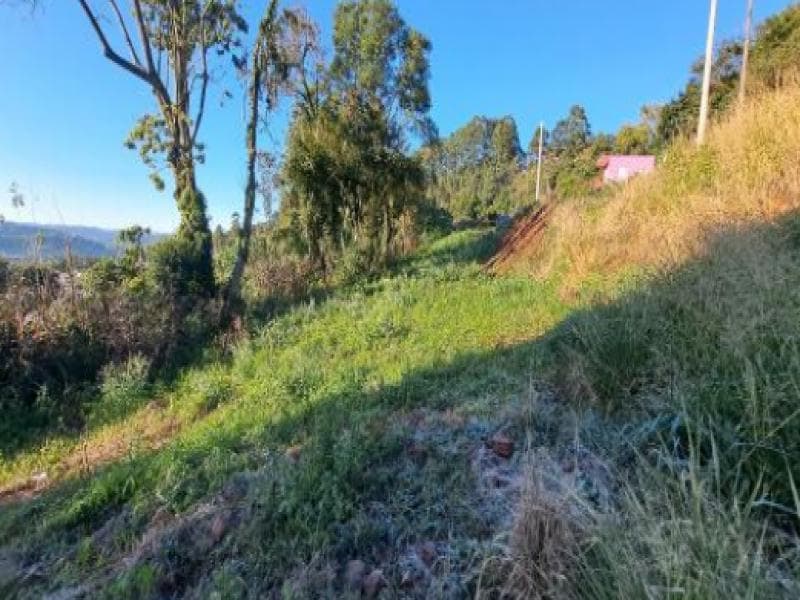 Foto 4 de 8: Terreno em leilão em Cordilheira Alta - SC, bairro Interior — Lote, 300.0 m2, Cordilheira Alta / SC