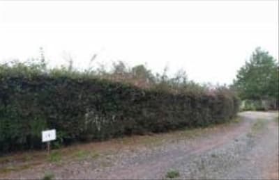 Foto 2 de 3: Terreno em leilão em Campos Do Jordão - SP, bairro Alto da Boa Vista — Terreno 1.380m², Alto da Boa Vista, Campos do Jordão/SP