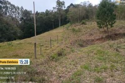 Foto 11 de 51: Terreno em leilão em Aurora - SC, bairro Área Rural — IMÓVEL RURAL COM ÁREA TOTAL DE 11,516 ha- Em AURORA/SC
