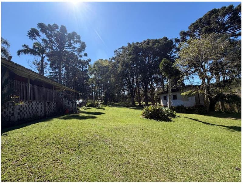 Foto 15 de 35: Area Rural em leilão em São José Dos Pinhais - PR — Sitio com área total de 120.974,16m², localizado Borda do Campo em São José dos Pinhais/PR