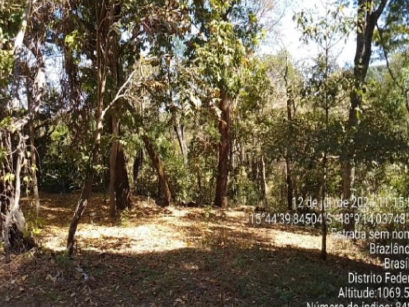 Foto 7 de 33: Area Rural em leilão em Brasília - DF, bairro Brazlândia — Area, 12.58 ha, Brasilia / DF