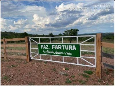Foto 10 de 10: Area Rural em leilão em Monte Santo Do Tocantins - TO — IMÓVEL RURAL, FAZENDA FARTURA II, 140,9088HA, MONTE SANTO 1 EM MONTE SANTO DO TOCANTINS/TO - EXPLORAÇÃO DE PECUÁRIA