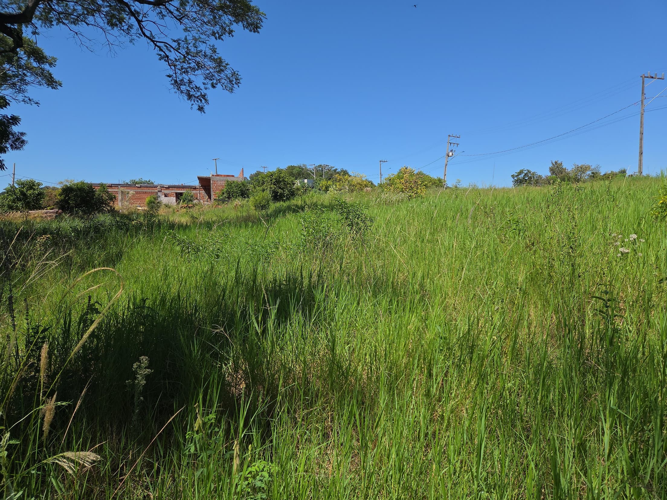 Foto 5 de 6: Terreno em leilão em Nova Prata Do Iguaçu - PR, bairro Distrito Turístico — LOTE URBANO Nº 11, QUADRA Nº 06 DO LOTEAMENTO PAINEIRA DO MUNICÍPIO DE NOVA PRATA DO IGUAÇU/PR ÁREA DE 897,59M²