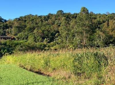 Foto 11 de 11: Area Rural em leilão em Nova Prata Do Iguaçu - PR — LOTE RURAL - SALTO DO LONTRA/PR