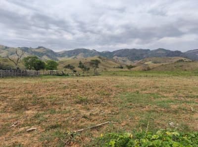 Foto 3 de 3: Area Rural em leilão em Guiricema - MG — IMÓVEL RURAL COM ÁREA TOTAL DE 108.416 m2- Em GUIRICEMA/MG