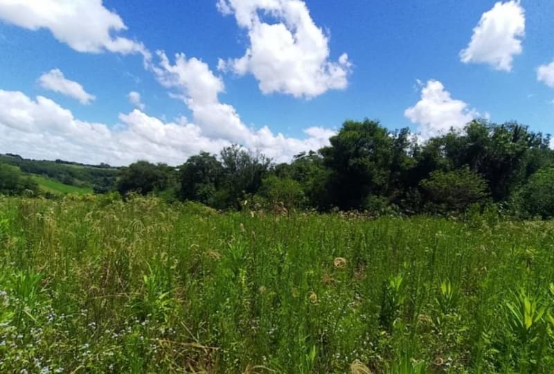 Foto 2 de 10: Area Rural em leilão em São José Do Inhacorá - RS — IMÓVEL RURAL COM ÁREA DE 20.000,00 M2² - EM SÃO JOSÉ DO INHACORÁ/RS