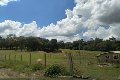 Foto 11 de 15: Area Rural em leilão em Pitanga - PR — VENDA CONJUNTA DE DUAS MATRÍCULAS- Em PITANGA/PR
