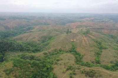 Foto 5 de 5: Area Rural em leilão em Bambuí - MG — FAZENDA "PONTE ALTA E CAN CAN MEIO" EM BAMBUÍ/MG.