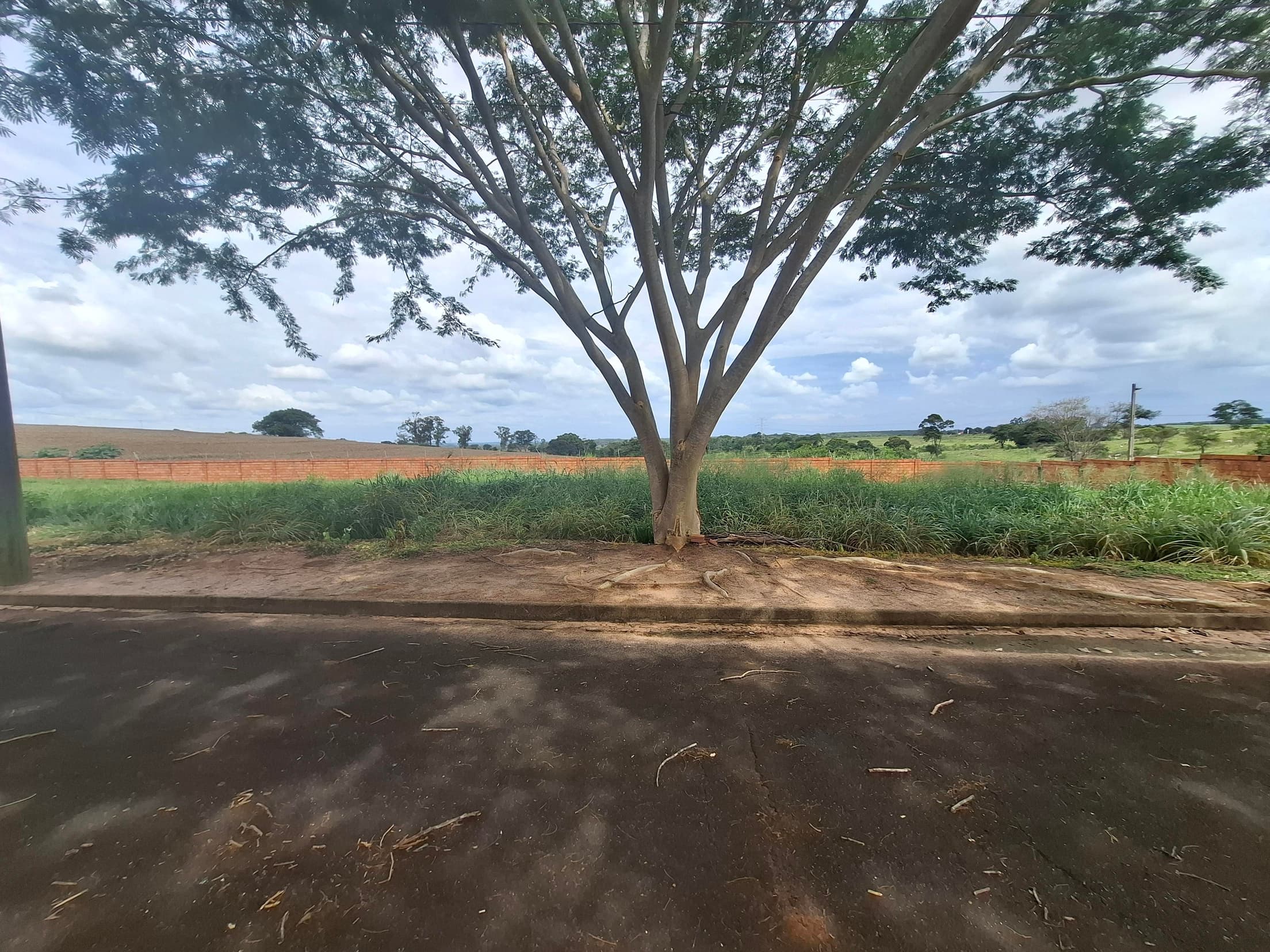 Foto 4 de 5: Terreno em leilão em Mirassol - SP — TERRENO RESIDENCIAL DE 450m² NO SAN DIEGO, MIRASSOL/SP | MATRICULA 33.944