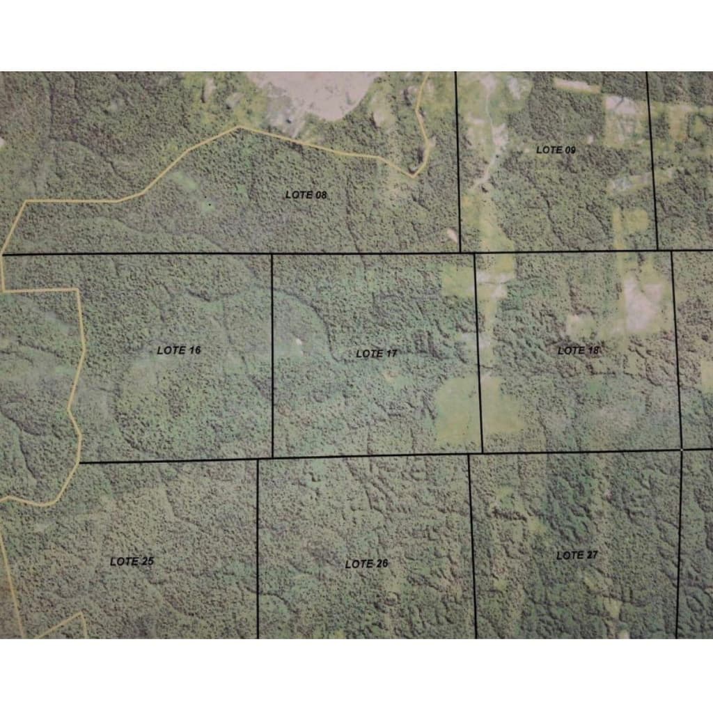 Foto 2 de 2: Area Rural em leilão em Colniza - MT — Imóvel Rural com 3.136,7472 ha localizados em Colniza/MT - (LOTE 17)