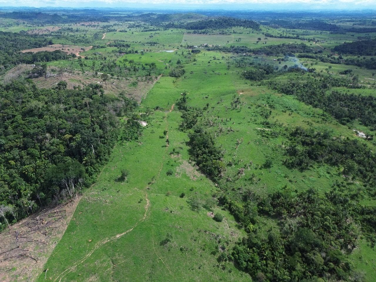 Area Rural em leilão em Buritis - RO — IMÓVEL RURAL | A.T. 50,2763HA | GLEBA RIO ALTO | BURITIS/RO