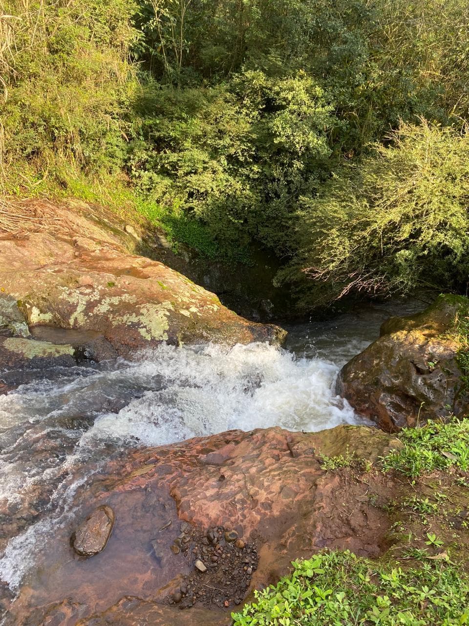 Foto 12 de 23: Terreno em leilão em Concórdia - SC — IMÓVEL RURAL COM ÁREA TOTAL DE 11.005,95m2, EM CONCÓRDIA-SC