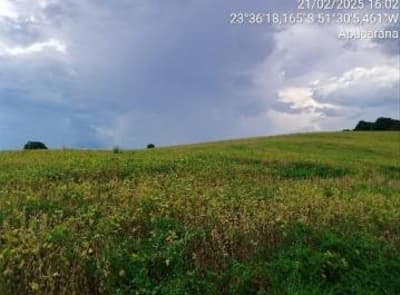 Foto 2 de 5: Area Rural em leilão em Apucarana - PR — IMÓVEL RURAL COM ÁREA TOTAL 49.973,64 m2- Em APUCARANA/PR