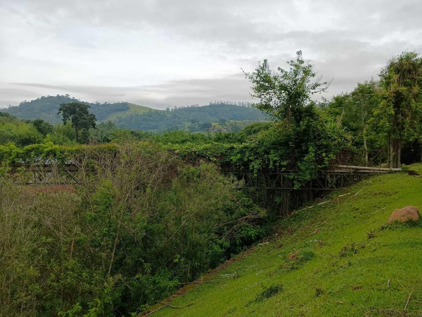 Foto 64 de 70: Area Rural em leilão em Amparo - SP, bairro Três Pontes — Imóvel Rural, A.T. 19ha, A.C. 7.362m², antigo abatedouro, galpões, casas, Três Pontes