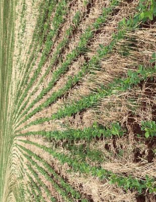 Foto 2 de 3: Area Rural em leilão em Braganey - PR — IMÓVEL RURAL COM ÁREA TOTAL DE 7,4052 ha - Em BRAGANEY/PR