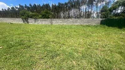 Foto 3 de 6: Terreno em leilão em Ponta Grossa - PR, bairro Colônia Dona Luíza — Lote, Ponta Grossa / PR