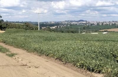 Area Rural em leilão em Reserva - PR — VENDA CONJUNTA DE DUAS MATRÍCULAS- Em RESERVA/PR