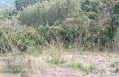 Foto 9 de 15: Terreno em leilão em Vidal Ramos - SC, bairro Área Rural — IMÓVEL RURARL COM ÁREA TOTAL DE 13.000 ha,- Em VIDAL RAMOS/SC