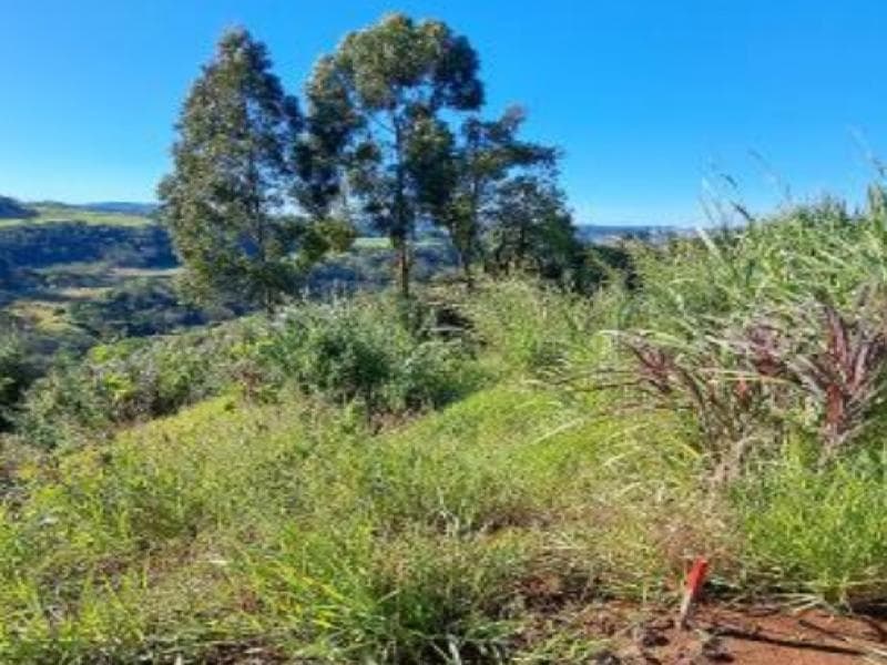 Foto 7 de 9: Terreno em leilão em Cordilheira Alta - SC, bairro Interior — Lote, 330.31 m2, Cordilheira Alta / SC