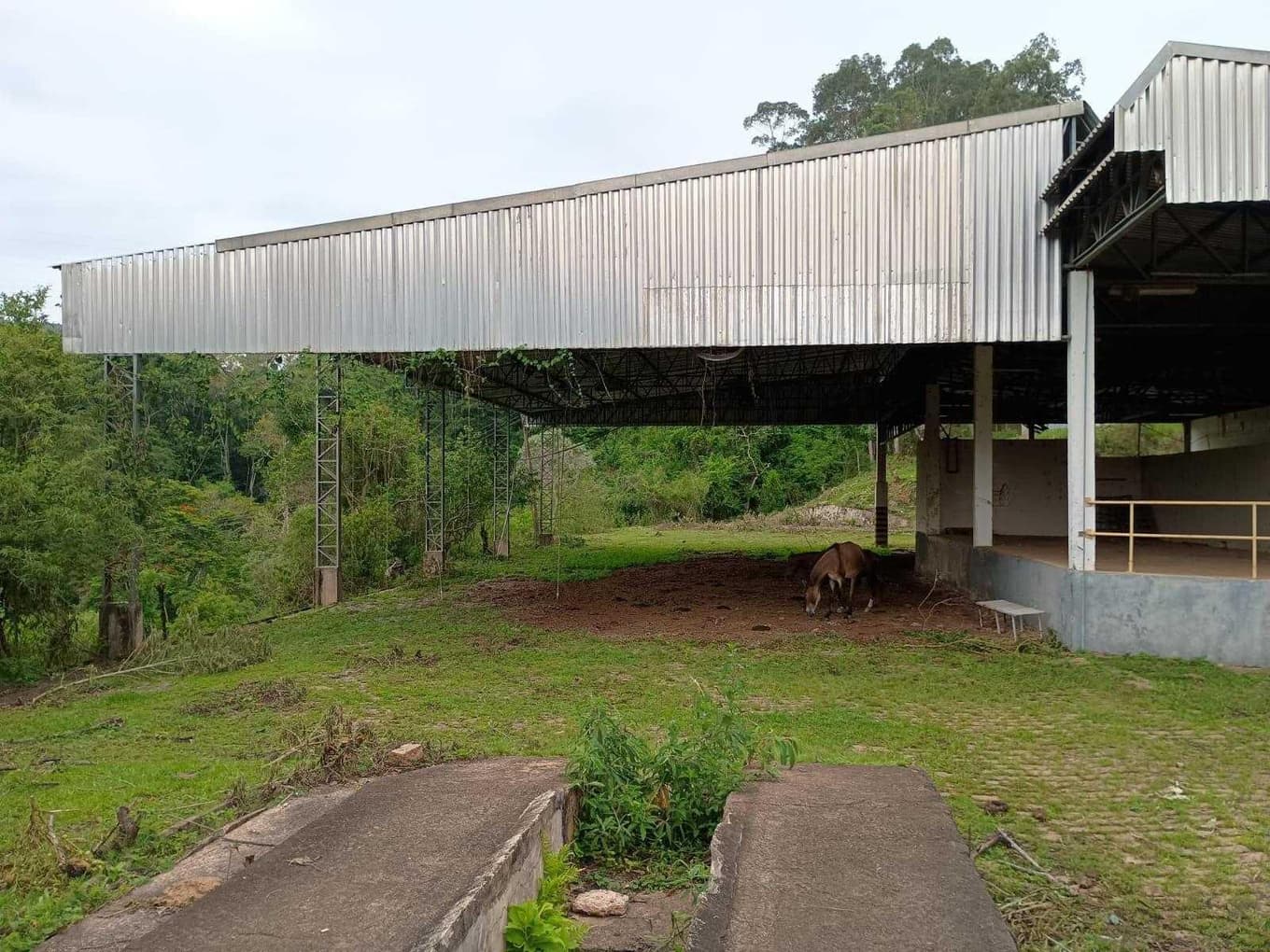 Foto 36 de 70: Area Rural em leilão em Amparo - SP, bairro Três Pontes — Imóvel Rural, A.T. 19ha, A.C. 7.362m², antigo abatedouro, galpões, casas, Três Pontes