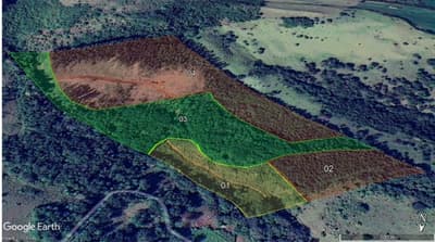 Foto 10 de 16: Area Rural em leilão em Quedas Do Iguaçu - PR — IMÓVEIS RURAIS VENDA CONJUNTA DE DUAS MATRÍCULAS- Em QUEDAS DO IGUAÇU/PR