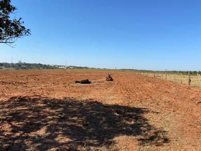 Foto 2 de 6: Area Rural em leilão em Martinópolis - SP — Imóvel rural com 9,68 ha.