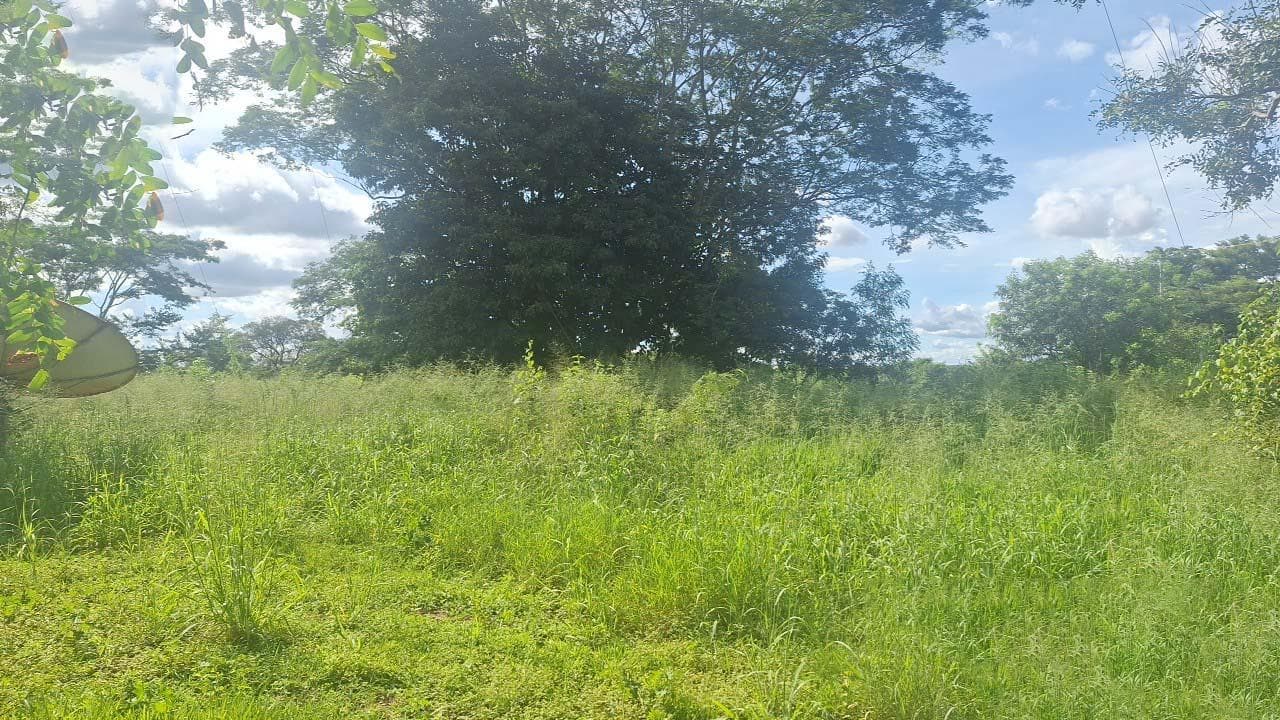 Foto 1 de 3: Terreno em leilão em Icém - SP — Terreno 4.437m² | Icém/SP | Estrada Boiadeira |