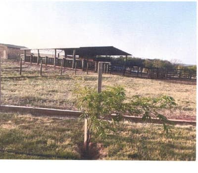 Foto 2 de 7: Area Rural em leilão em Bandeirantes - MS — IMÓVEL RURAL | A.T. 187,0323HA FAZ. VÓ BINA E ALIANÇA | BANDEIRANTES/MS