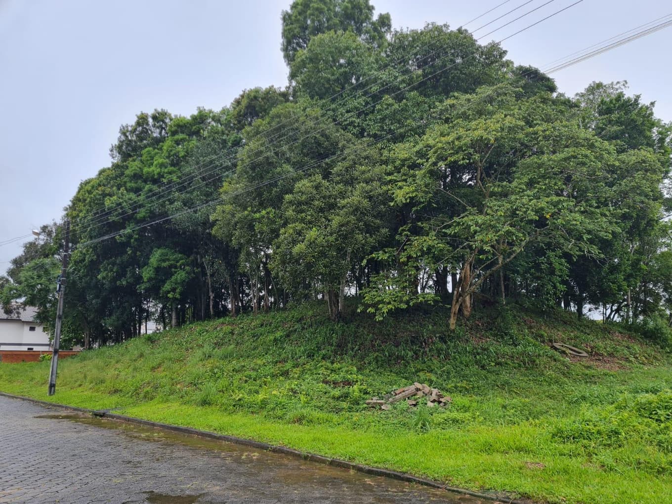 Foto 8 de 8: Terreno em leilão em Nova Veneza - SC — Terreno Urbano com área de 3.255.00m2, em Nova Veneza-SC