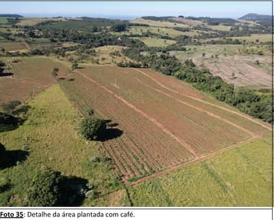 Foto 21 de 41: Area Rural em leilão em Cássia Dos Coqueiros - SP — IMOVEL - RURAL - SITIO com 16 hectares - ESTRUTURA COMPLETA - Perto do Asfalto na cidade de CÁSSIA DOS COQUEIROS