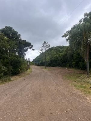 Foto 1 de 6: Area Rural em leilão em Vacaria - RS — PARTE IDEAL (70%) PERTECENTE A MASSA FALIDA GEO FOREST, área de terras com 338.000m², Vacaria/RS