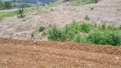 Foto 5 de 5: Terreno em leilão em Saudades - SC, bairro Saudades — LOTE URBANO Nº 04, DA QUADRA Nº 122, LOCALIZADO EM SAUDADES/SC ÁREA DE 360M²