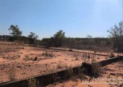 Foto 50 de 58: Area Rural em leilão em Rondonópolis - MT — GLEBA COMERCIAL ÀS MARGENS DA BR-163 RONDONÓPOLIS/MT - VENDA CONJUNTA DE DUAS MATRÍCULAS