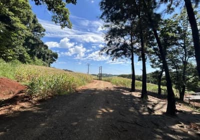 Foto 3 de 3: Area Rural em leilão em Itapejara D'oeste - PR — IMÓVEL RURAL COM ÁREA TOTAL DE 51.942,00m2- Em ITAPEJARA D'OESTE/PR