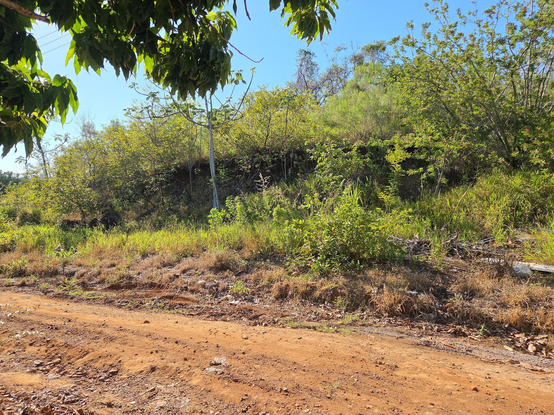 Foto 4 de 4: Terreno em leilão em Nova Prata Do Iguaçu - PR, bairro Distrito Turístico — LOTE URBANO Nº 07, QUADRA Nº 12 DO LOTEAMENTO ESTRELA DOURADA DO MUNICÍPIO DE NOVA PRATA DO IGUAÇU/PR ÁREA DE 450M²