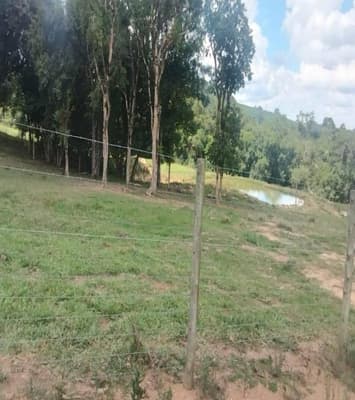 Foto 7 de 15: Area Rural em leilão em Pitanga - PR — VENDA CONJUNTA DE DUAS MATRÍCULAS- Em PITANGA/PR