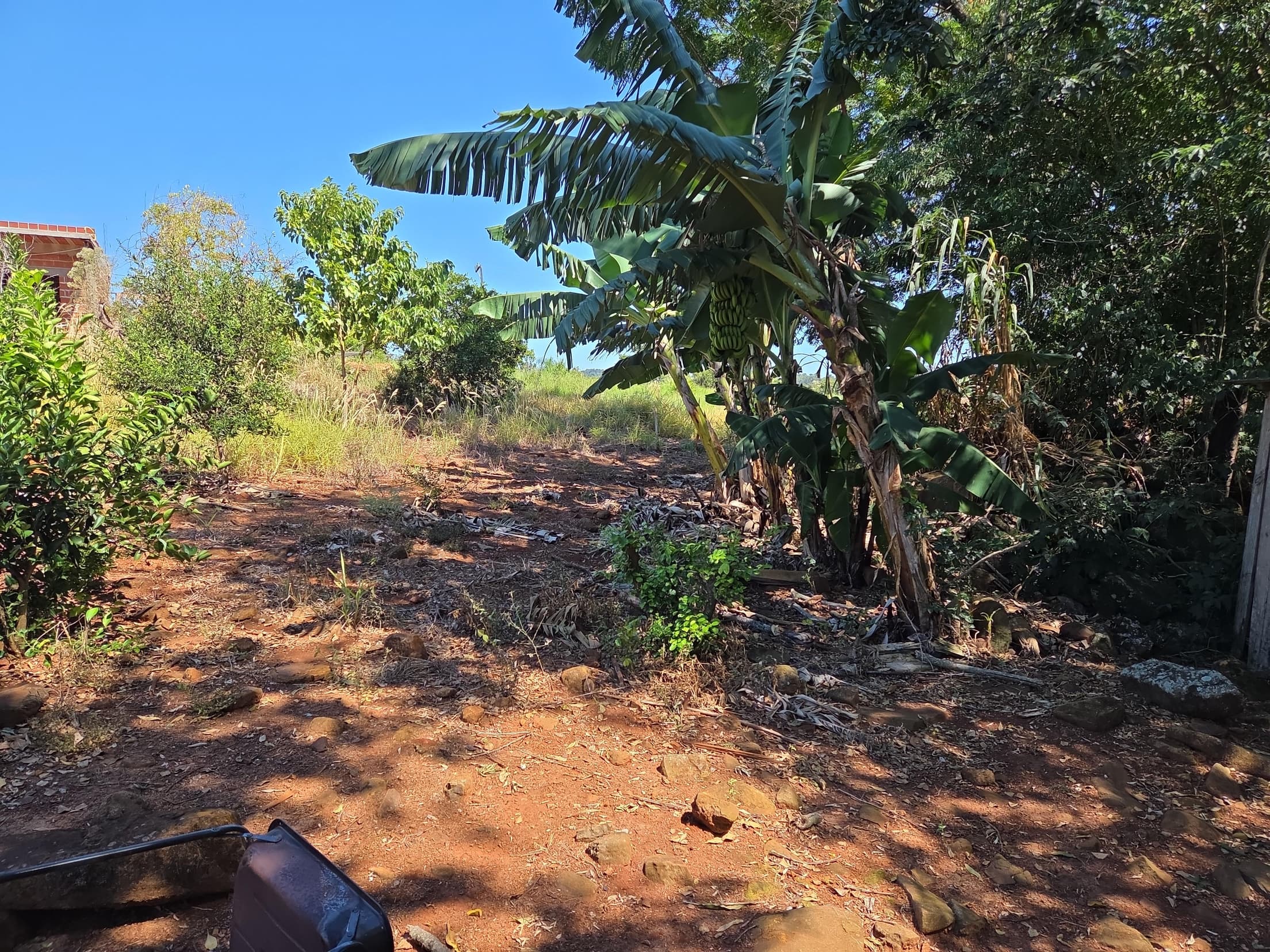 Foto 1 de 6: Terreno em leilão em Nova Prata Do Iguaçu - PR, bairro Distrito Turístico — LOTE URBANO Nº 11, QUADRA Nº 06 DO LOTEAMENTO PAINEIRA DO MUNICÍPIO DE NOVA PRATA DO IGUAÇU/PR ÁREA DE 897,59M²