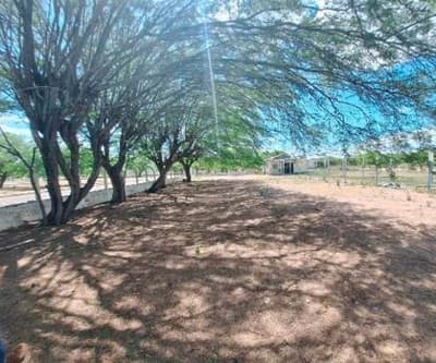 Foto 7 de 19: Terreno em leilão em Jatobá - PE, bairro Itaparica — Imóvel com 4.360m²| Prédio 528,42m² | Jatobá/PE : Lote de Esquina em Itaparica, Ideal para Sede Empresa, Clínica ou Órgão Público.
