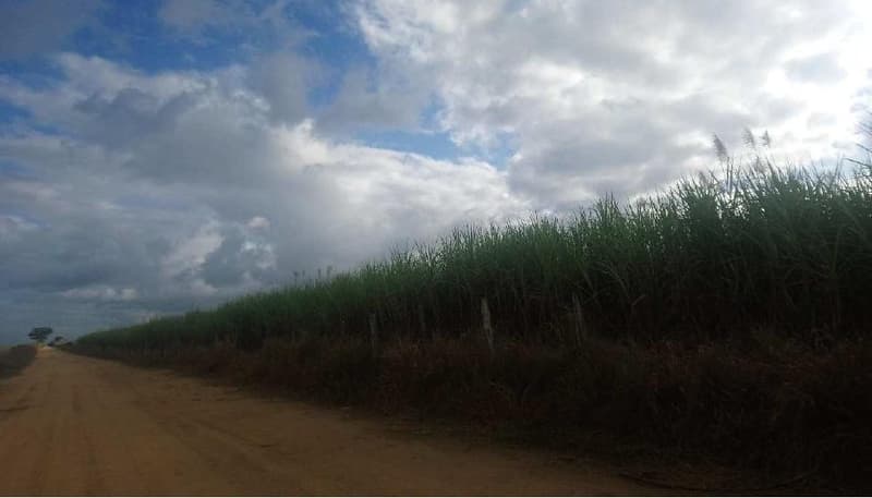 Area Rural em leilão em Pedro Canário - ES — Imóvel rural, A.T. 484.000m²