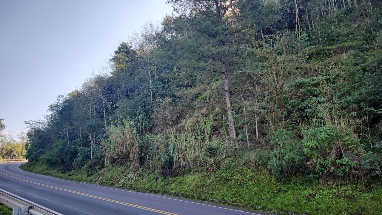 Foto 6 de 10: Terreno em leilão em Mondaí - SC — LOTE URBANO Nº 06 LOCALIZADO NA AVENIDA LAJU NO MUNICÍPIO DE MONDAÍ/SC - ÁREA DE 2.000M²