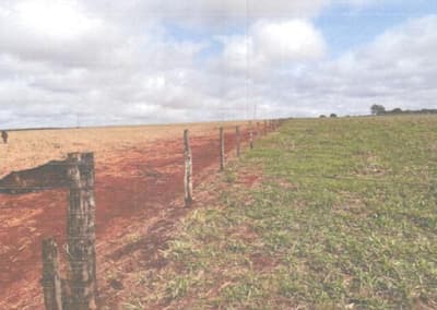 Foto 2 de 4: Area Rural em leilão em Quirinópolis - GO — IMÓVEL RURAL | A.T. 37,41 HA | QUIRINÓPOLIS/GO