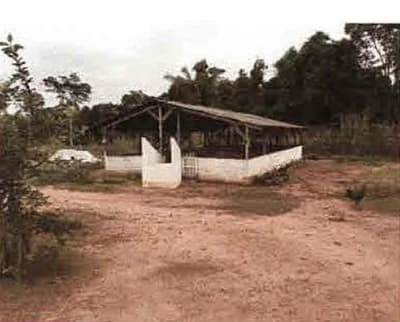 Foto 8 de 9: Terreno em leilão em Porto Dos Gaúchos - MT — IMÓVEL RURAL | A.T. 51 HA | ESTÂNCIA BLAU - EM PORTO DOS GAÚCHOS/MT