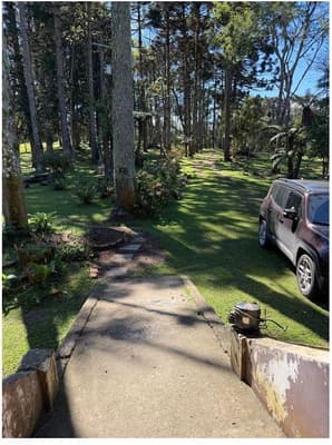 Foto 10 de 35: Area Rural em leilão em São José Dos Pinhais - PR — Sitio com área total de 120.974,16m², localizado Borda do Campo em São José dos Pinhais/PR