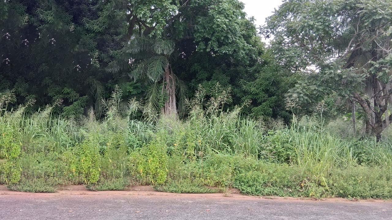 Foto 4 de 6: Terreno em leilão em Minaçu - GO — Terreno Urbano 360m² | Vila de Furnas - Minaçu/GO |Localização Nobre e Infraestrutura Completa: Ideal para Construção e Investimento!