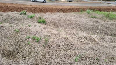Foto 5 de 5: Terreno em leilão em Saudades - SC — LOTE URBANO Nº 03, DA QUADRA Nº 122, LOCALIZADO EM SAUDADES/SC ÁREA DE 360M²